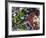 Free Again-Dan Monteavaro-Framed Giclee Print