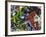 Free Again-Dan Monteavaro-Framed Giclee Print