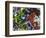 Free Again-Dan Monteavaro-Framed Giclee Print