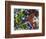 Free Again-Dan Monteavaro-Framed Giclee Print