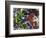 Free Again-Dan Monteavaro-Framed Giclee Print