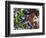 Free Again-Dan Monteavaro-Framed Giclee Print