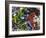 Free Again-Dan Monteavaro-Framed Giclee Print