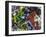 Free Again-Dan Monteavaro-Framed Giclee Print