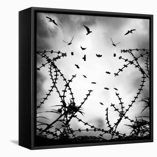 Free As a Bird-George Digalakis-Framed Premier Image Canvas