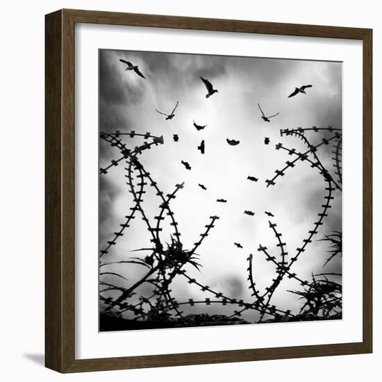 Free As a Bird-George Digalakis-Framed Photographic Print