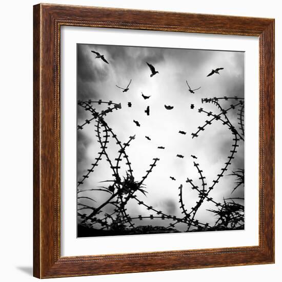 Free As a Bird-George Digalakis-Framed Photographic Print