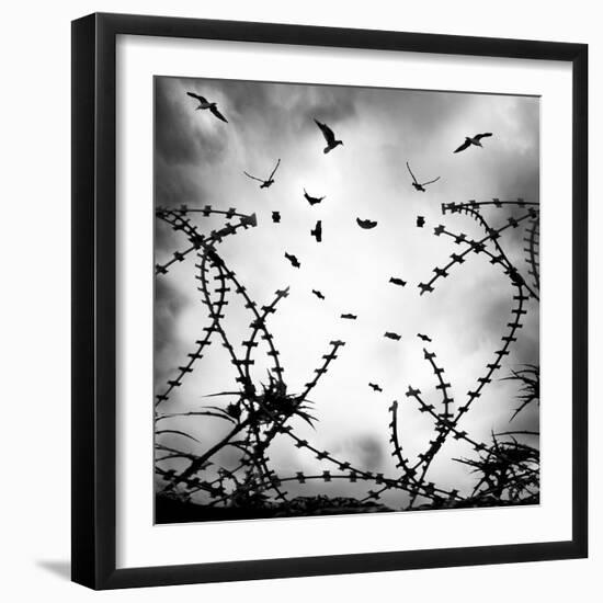 Free As a Bird-George Digalakis-Framed Photographic Print