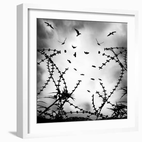 Free As a Bird-George Digalakis-Framed Photographic Print