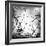 Free As a Bird-George Digalakis-Framed Photographic Print