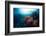 Free Diver Exploring Vivid Coral Reef in Tropical Sea-Dudarev Mikhail-Framed Photographic Print