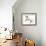 Free (Przewalski),2012-Mark Adlington-Framed Giclee Print displayed on a wall