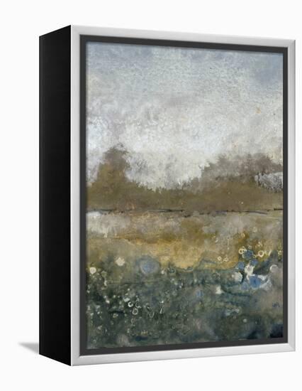 Free Range III-Tim OToole-Framed Stretched Canvas