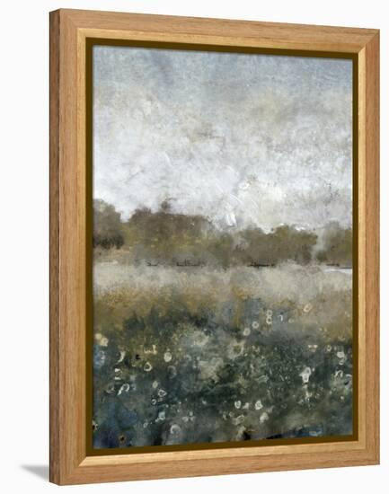 Free Range IV-Tim OToole-Framed Stretched Canvas