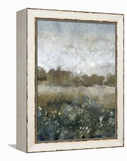 Free Range IV-Tim OToole-Framed Stretched Canvas