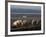 Free Range Pig Farming, Wiltshire, England, United Kingdom, Europe-Charles Bowman-Framed Photographic Print