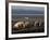 Free Range Pig Farming, Wiltshire, England, United Kingdom, Europe-Charles Bowman-Framed Photographic Print