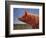 Free Range Pig-James W. Johnson-Framed Giclee Print