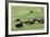 Free-Ranging Buffalo Herd on the Grasslands of Custer State Park in the Black Hills, South Dakota-null-Framed Photographic Print