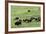 Free-Ranging Buffalo Herd on the Grasslands of Custer State Park in the Black Hills, South Dakota-null-Framed Photographic Print