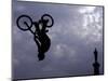 Free Ride BMX Practice-null-Mounted Photographic Print