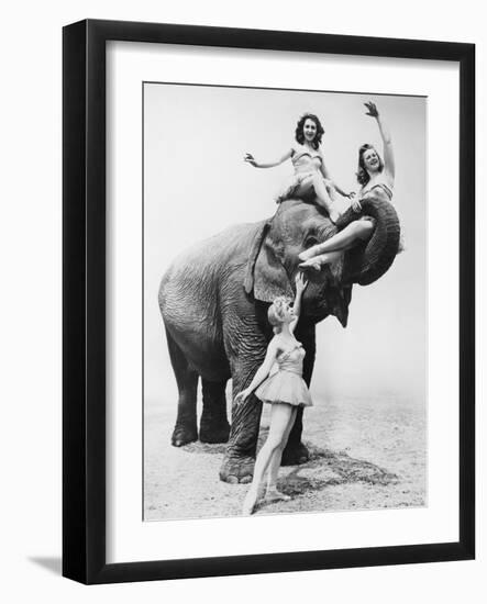 Free Ride-null-Framed Photo