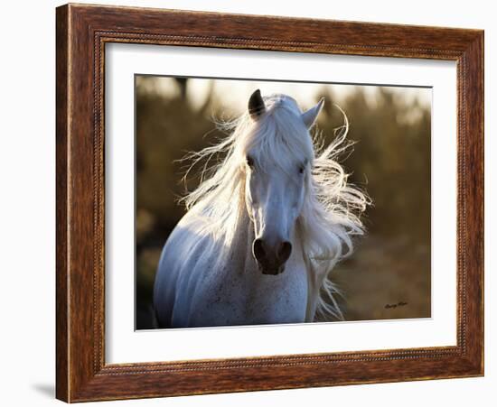 Free Spirit-Barry Hart-Framed Giclee Print