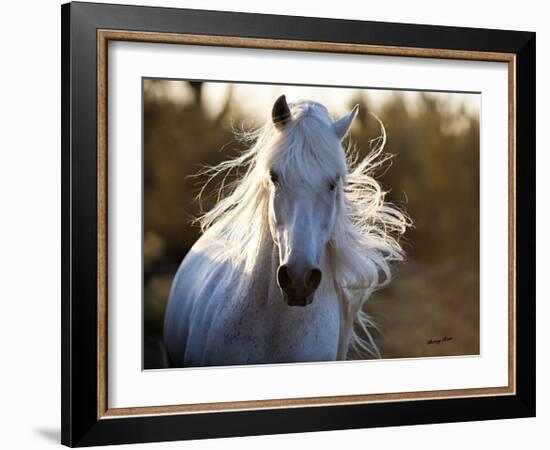 Free Spirit-Barry Hart-Framed Giclee Print