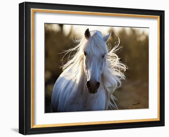 Free Spirit-Barry Hart-Framed Giclee Print