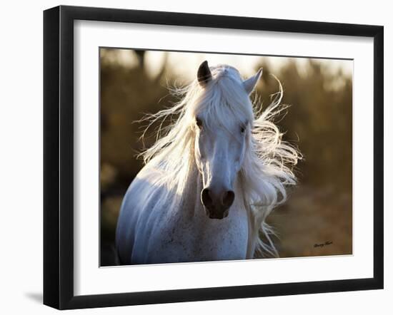 Free Spirit-Barry Hart-Framed Giclee Print