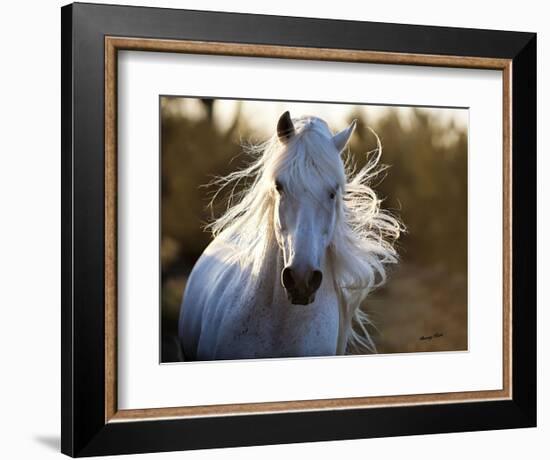 Free Spirit-Barry Hart-Framed Art Print