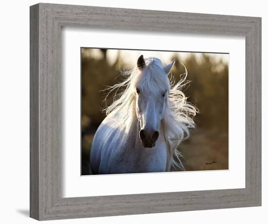 Free Spirit-Barry Hart-Framed Art Print