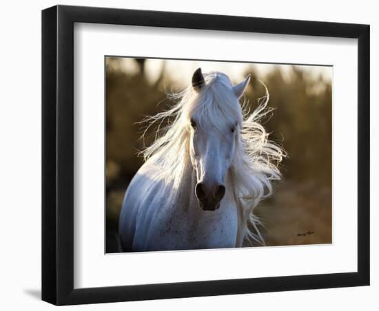 Free Spirit-Barry Hart-Framed Art Print