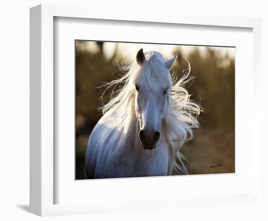 Free Spirit-Barry Hart-Framed Art Print