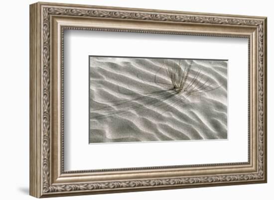 Free Spirit-Gill Copeland-Framed Art Print