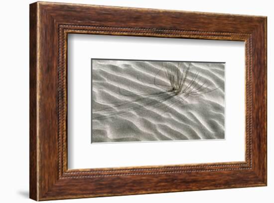 Free Spirit-Gill Copeland-Framed Art Print