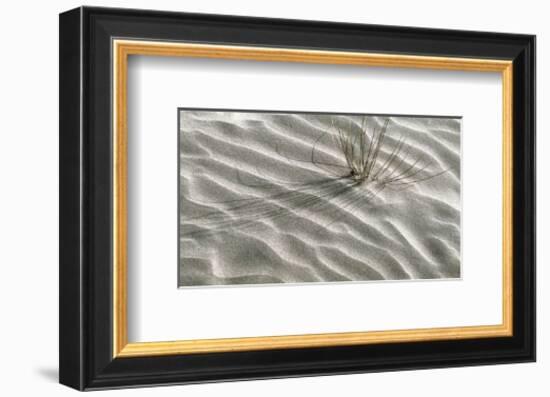 Free Spirit-Gill Copeland-Framed Art Print