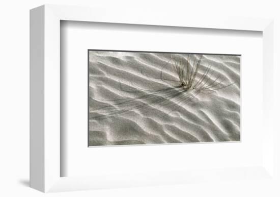 Free Spirit-Gill Copeland-Framed Art Print