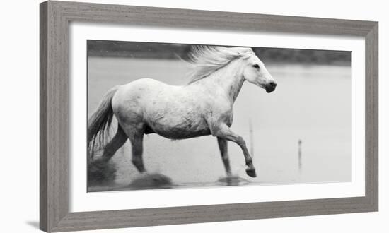 Free-Irene Suchocki-Framed Giclee Print