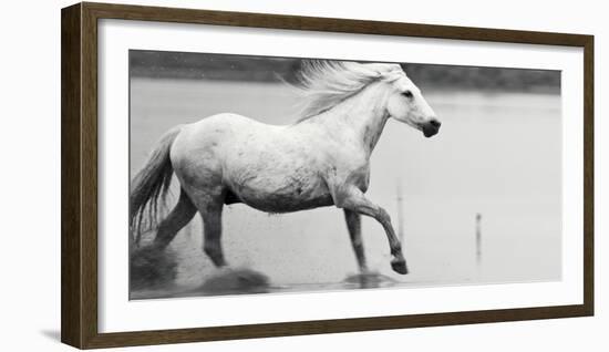 Free-Irene Suchocki-Framed Giclee Print