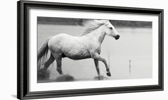 Free-Irene Suchocki-Framed Giclee Print