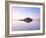 Freedom from Complication-Doug Chinnery-Framed Photographic Print