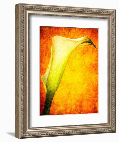 Freedom from Doubt-Doug Chinnery-Framed Photographic Print