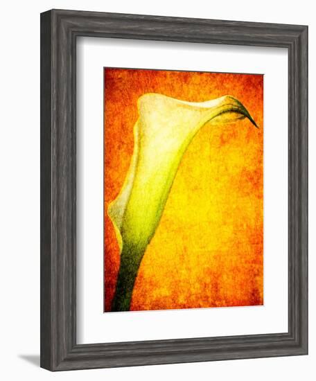 Freedom from Doubt-Doug Chinnery-Framed Photographic Print