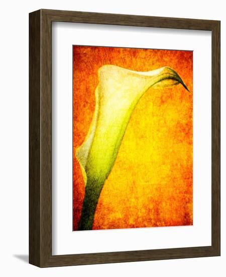 Freedom from Doubt-Doug Chinnery-Framed Photographic Print