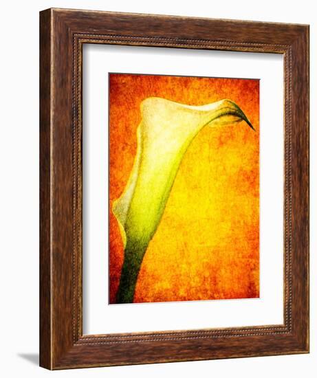 Freedom from Doubt-Doug Chinnery-Framed Photographic Print