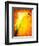 Freedom from Doubt-Doug Chinnery-Framed Photographic Print