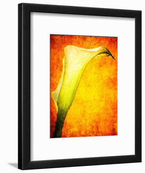 Freedom from Doubt-Doug Chinnery-Framed Photographic Print