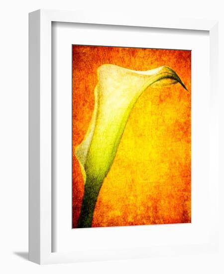 Freedom from Doubt-Doug Chinnery-Framed Photographic Print