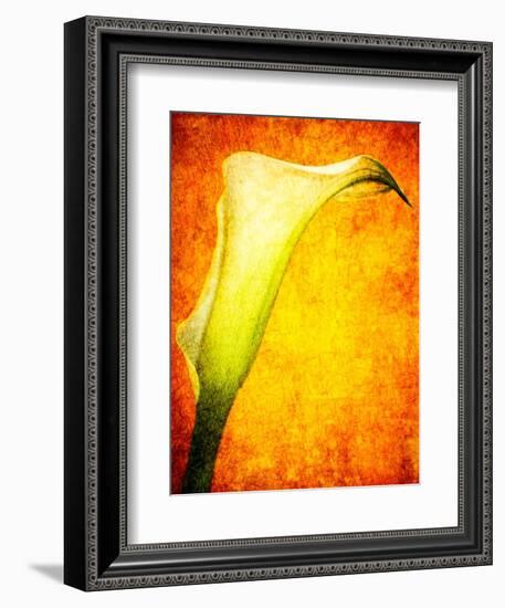 Freedom from Doubt-Doug Chinnery-Framed Photographic Print